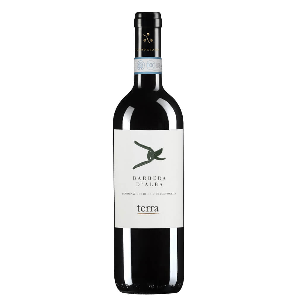 Barbera d’Alba DOC 2023 - Clavesana