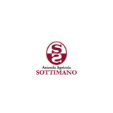 Langhe Nebbiolo DOC 2023 - Sottimano
